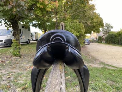 Sella da dressage Prestige Italia  17