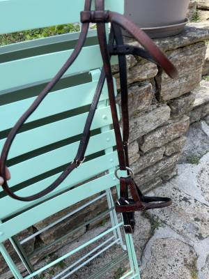  Schutz Brothers Occasione