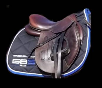 Sella mista GBS  16.5