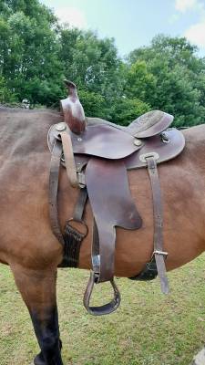 Sella western   16