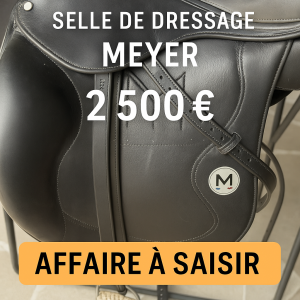 Sella da dressage Meyer  17