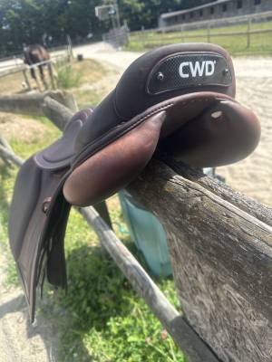 Sella mista CWD  17