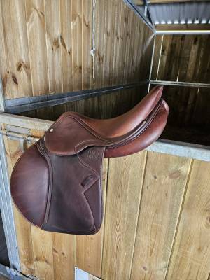 Sella da salto ostacoli Eric Thomas  17.5