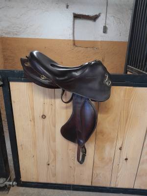 Sella da endurance Gaston Mercier  17