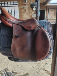 Sella da salto ostacoli Antarès  17