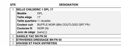 Sella da dressage Childeric  17