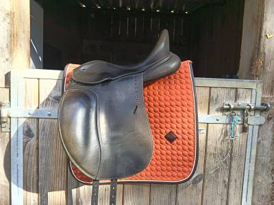 Sella da dressage Ikonic Pro 16.5