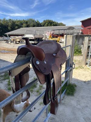 Sella western   16