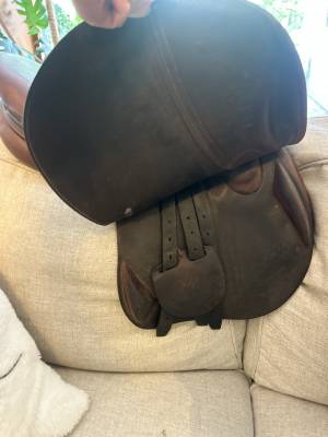 Sella da salto ostacoli Antarès  17