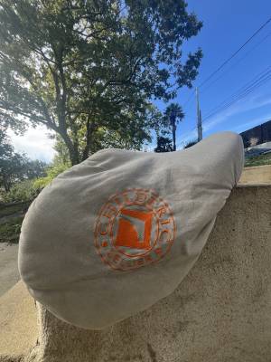 Sella mista Childeric  18