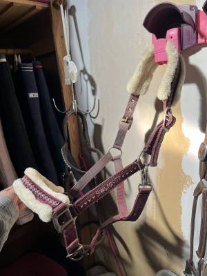  - Altra Marca - Occasione