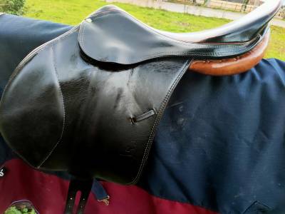 Sella mista Forestier  17