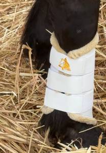  - Altra Marca - Nuovo