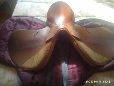 Sella mista Forestier  17