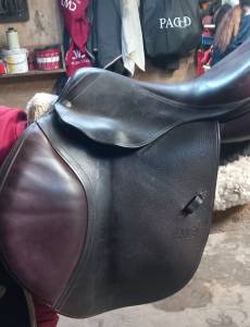 Sella da salto ostacoli CWD  17.5