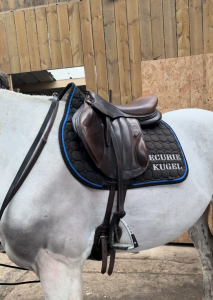 Sella mista Forestier  17