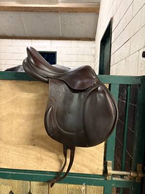 Sella da salto ostacoli Antarès  17.5