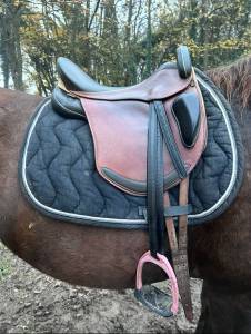 Sella da endurance Sommer  17.5