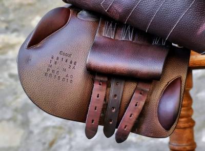 Sella mista Forestier  17.5