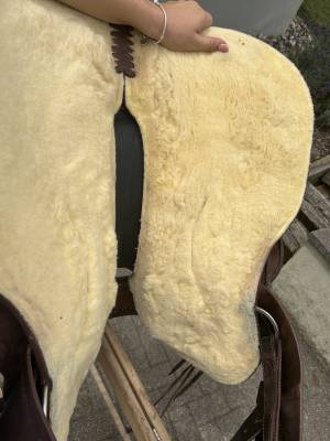 Sella western Continental Equiflex pro reiner 16