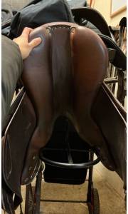 Altra sella Antarès  16.5