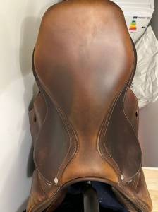 Sella da salto ostacoli Antarès  17.5