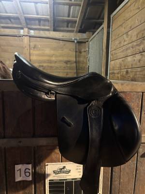 Sella mista Forestier  16.5