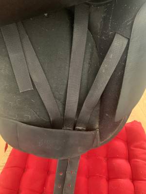 Sella da dressage Wintec  17.5