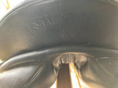 Sella da dressage Prestige Italia  17
