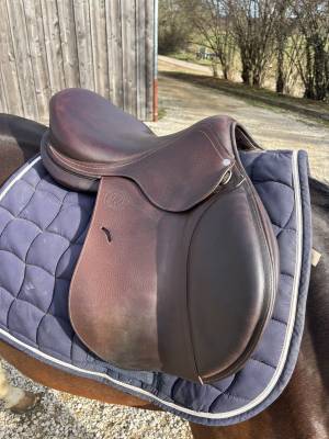 Sella da salto ostacoli Antarès  17.5