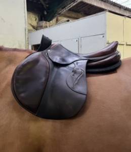 Sella da salto ostacoli Antarès Obstacle 18