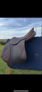 Sella da salto ostacoli Antarès  17