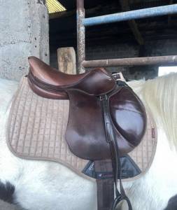 Sella da salto ostacoli Jean-Luc Maurel  16.5