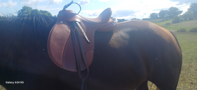 Altra sella Norton  18