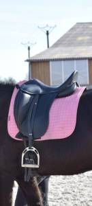 Sella da dressage Childeric  17