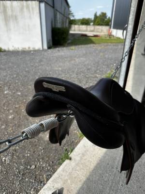 Sella da salto ostacoli Arion saut  17.5