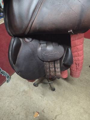 Sella da salto ostacoli Equipe  17.5