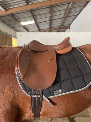 Sella mista Eric Thomas  17.5