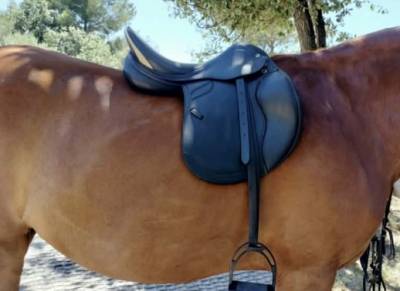 Sella mista Prestige Italia  17