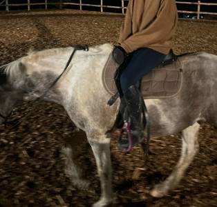 Sella sanza arcione  Total Contact Saddle  17