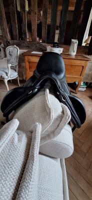 Sella da dressage Antarès  17