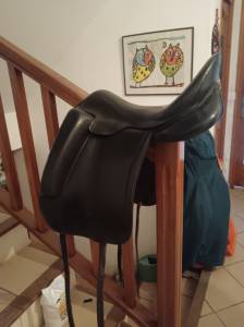 Sella da dressage Aulion  17