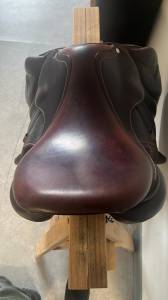 Sella da salto ostacoli Antarès  17.5