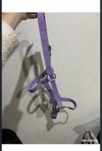  - Altra Marca - Occasione