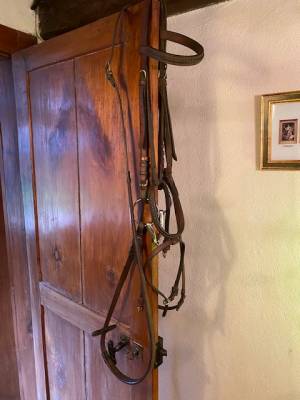  - Altra Marca - Occasione