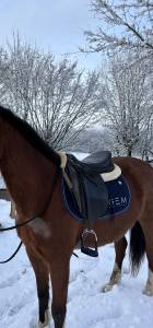 Sella mista Eric Thomas  17