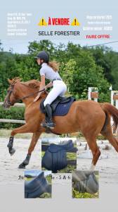 Sella da salto ostacoli Forestier  17