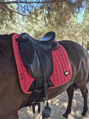 Sella da dressage Devoucoux  17.5