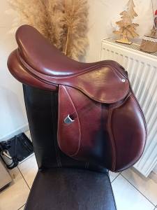 Sella mista Bates  17