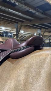 Sella da salto ostacoli CWD  17.5